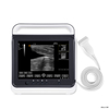 Sistema de máquina de diagnóstico de escáner de ultrasonido portátil HV-50A Vet Touch B / W